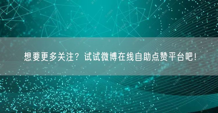 想要更多关注？试试微博在线自助点赞平台吧！
