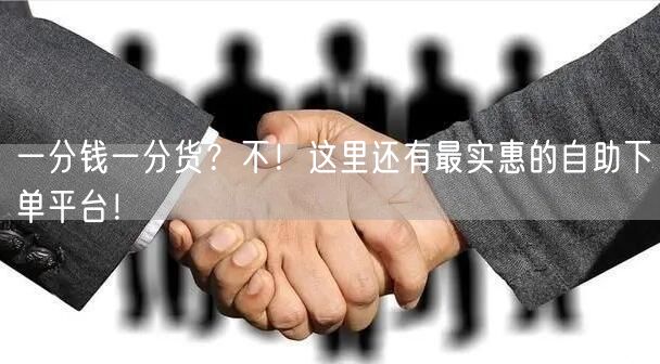 一分钱一分货？不！这里还有最实惠的自助下单平台！