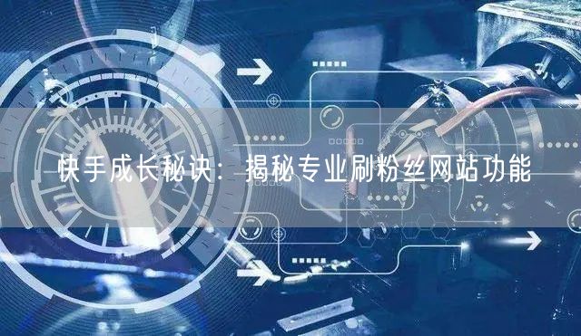 快手成长秘诀：揭秘专业刷粉丝网站功能