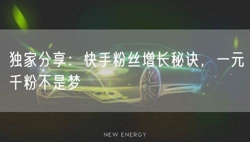独家分享：快手粉丝增长秘诀，一元千粉不是梦