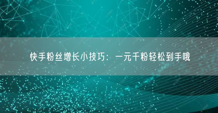 快手粉丝增长小技巧：一元千粉轻松到手哦