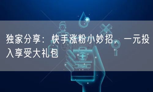 独家分享：快手涨粉小妙招，一元投入享受大礼包