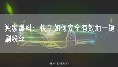 独家爆料：快手如何安全有效地一键刷粉丝