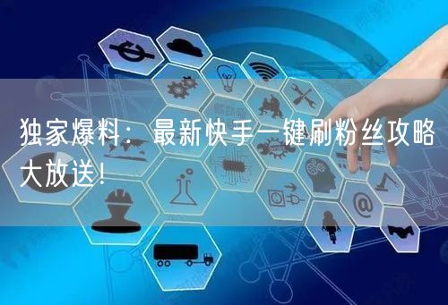 独家爆料：最新快手一键刷粉丝攻略大放送！